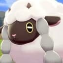 Brieuc "LEC Wooloo" Seeger