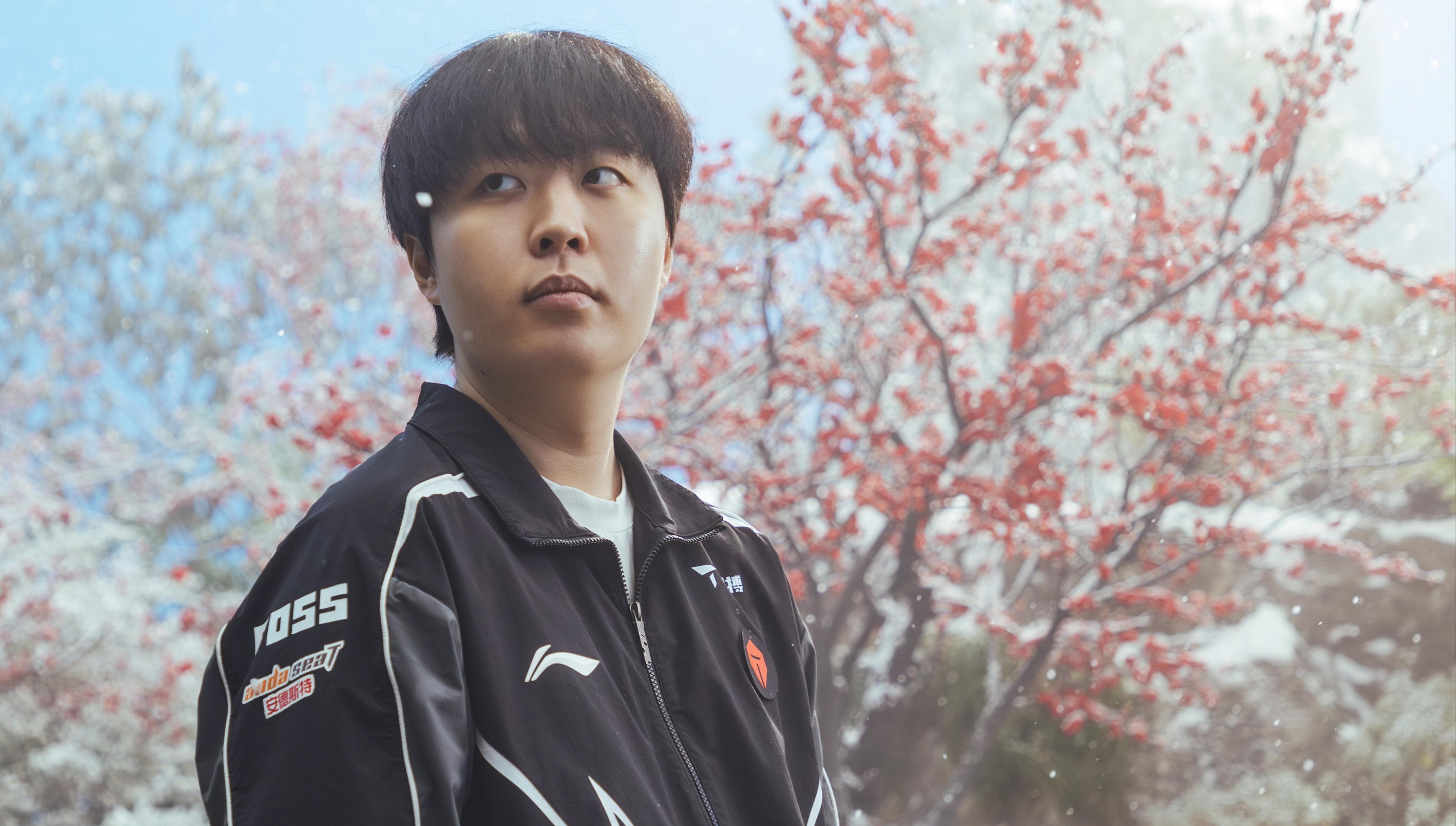 Article background image