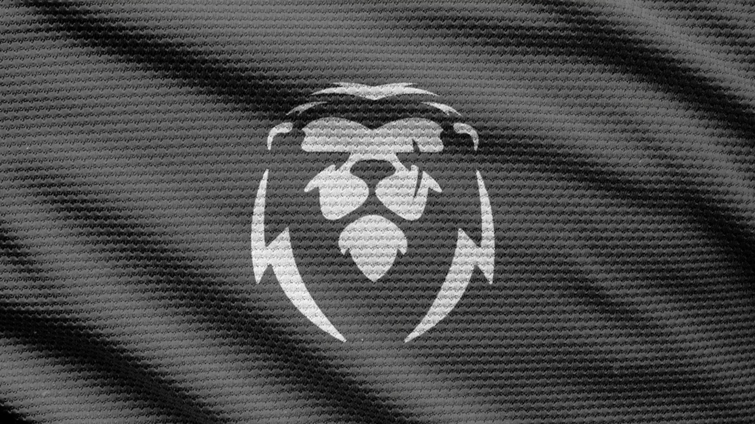 Article background image